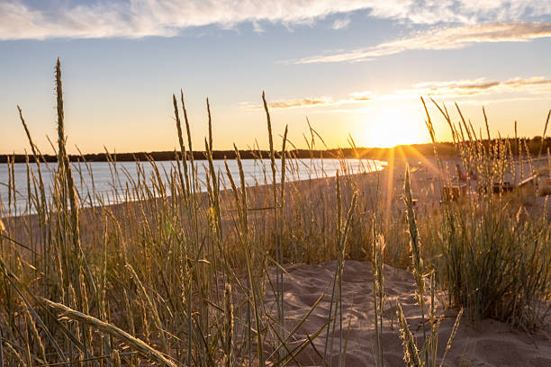 Beautiful summer evening on the sandy beach in Yyteri, Finland
