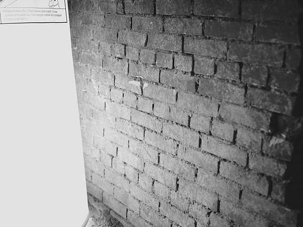 A beautifully textured brick wall illuminated with soft and gentle light creates a warm ambiance
