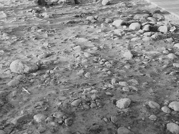 A picturesque landscape features a rocky shoreline with vibrant pebbles and intriguing muddy ground textures