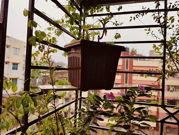green foliage covers a window in this urban scene, providing a beautiful contrast to the surrounding cityscape and architecture,