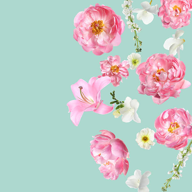istock Beautiful fresh flowers falling on pastel turquoise background, space for text 2219020162