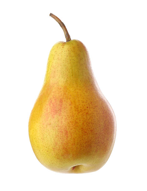 istock One whole ripe pear isolated on white 2219020668