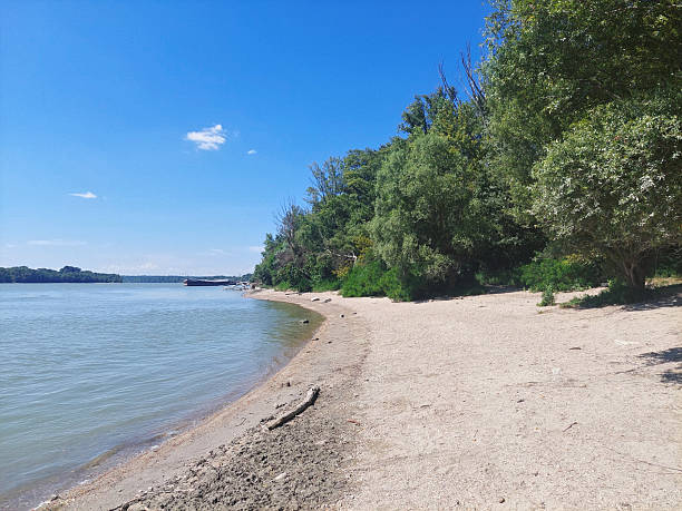 A peaceful sandy shoreline stretches along the Danube river near Budapest, with lush green trees providing natural shade on a clear summer day. The calm waters and pristine beach offer a tranquil escape from city life.