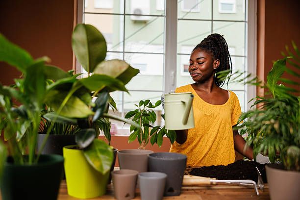 istock Peaceful Gardening Moments at Home 2219030179