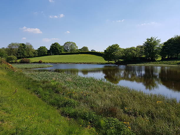 istock River Tavy Reservoir in Dartmoor 2219034468