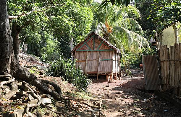 istock Typical house in Nosy Be - Madagascar 2219034799
