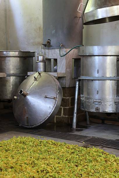 A large, empty industrial space with stainless steel processing equipment and a distinctive red floor suggests a food or beverage production facility.