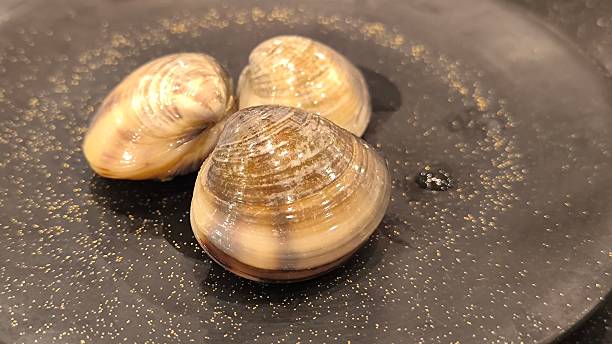 istock Clams on a black plate. Seafood restaurant. 2219038844