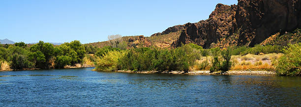istock Early Summer Salt River Recreation Area Arizona 2219039057