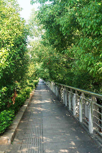 istock walkway in the modern city 2219040419