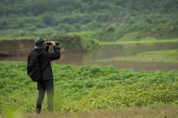 istock Female birdwatching/hiking  in nature concept 2219042879