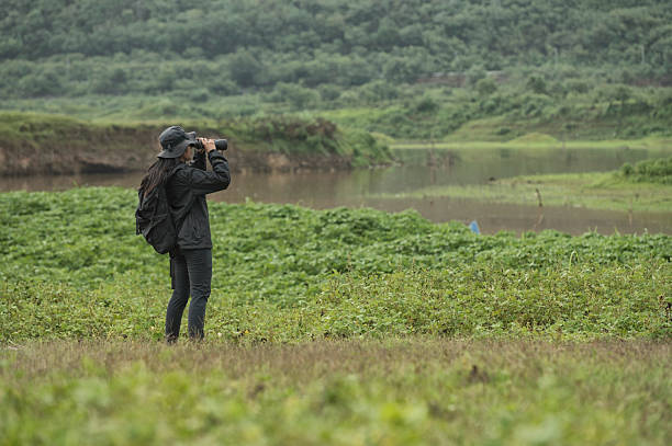 istock Female birdwatching/hiking  in nature concept 2219042886
