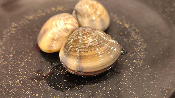 istock Clams on a black plate. Natural food. 2219043744