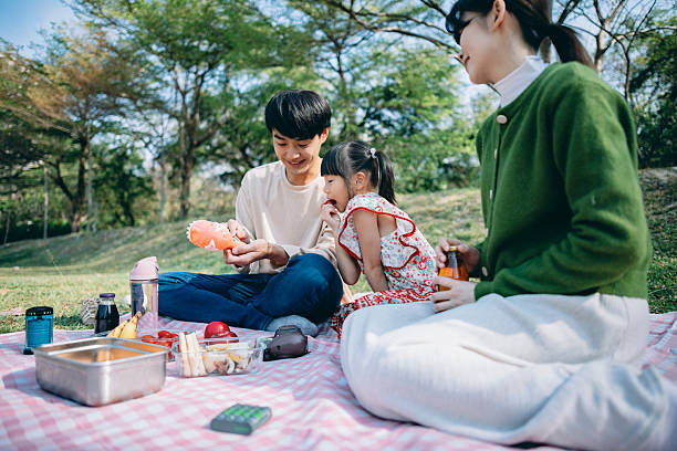 istock Picnic Moments: Family, Play, and Everyday Balance 2219045181