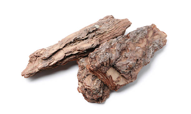 istock Pieces of tree bark on white background 2219049008