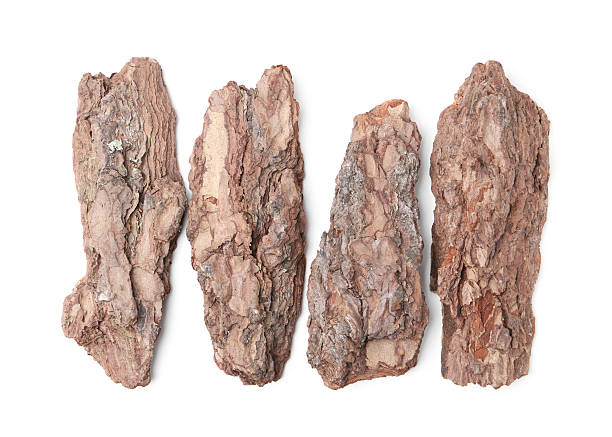 istock Pieces of tree bark on white background, top view 2219049013