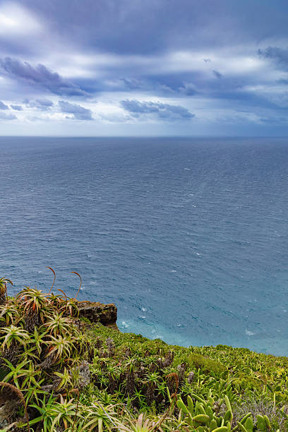 Cristo Rei Viewpoint on a Cloudy Day in Madeira