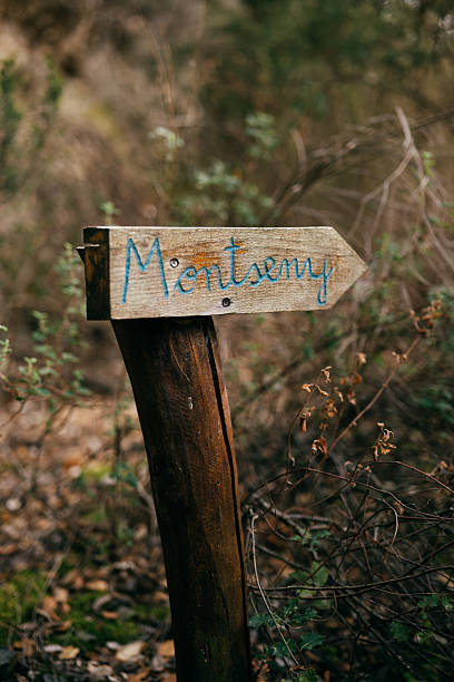 istock Rustic wooden signpost with blue handwritten Montseny text surrounded by forest undergrowth 2219050969
