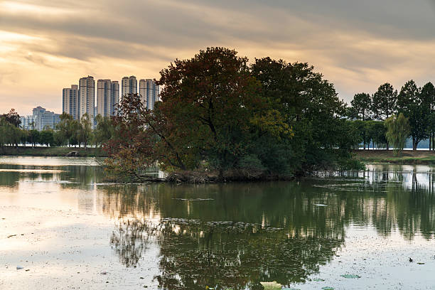 istock Lush greener around the pond in the park 2219051128