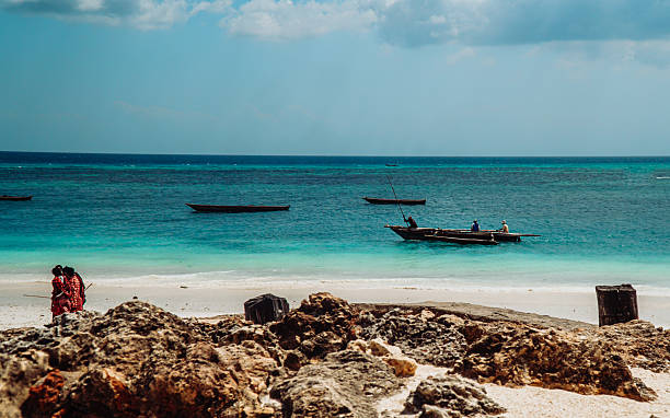 istock Serene Beach Day in Tanzania 2219057461