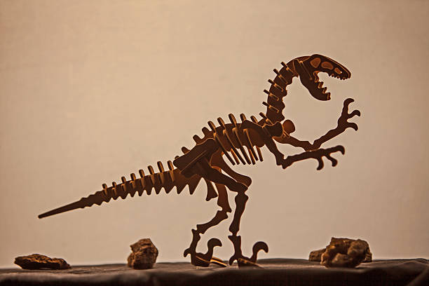 istock Velociraptor model silhouette 16484 2219063016