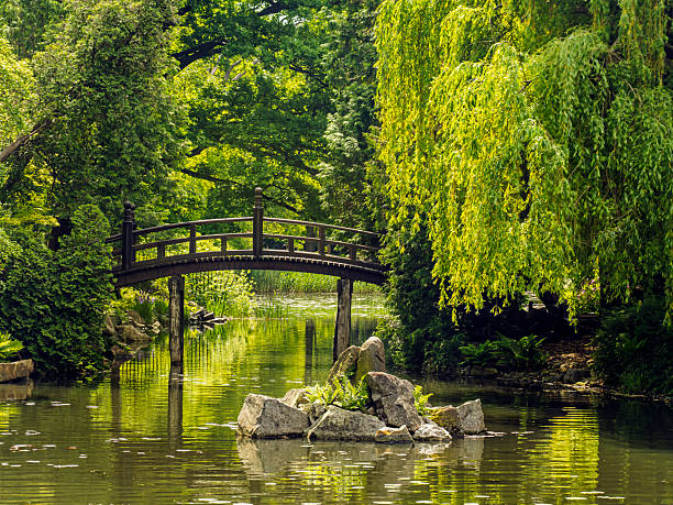 Bridge in a Japanese Garden