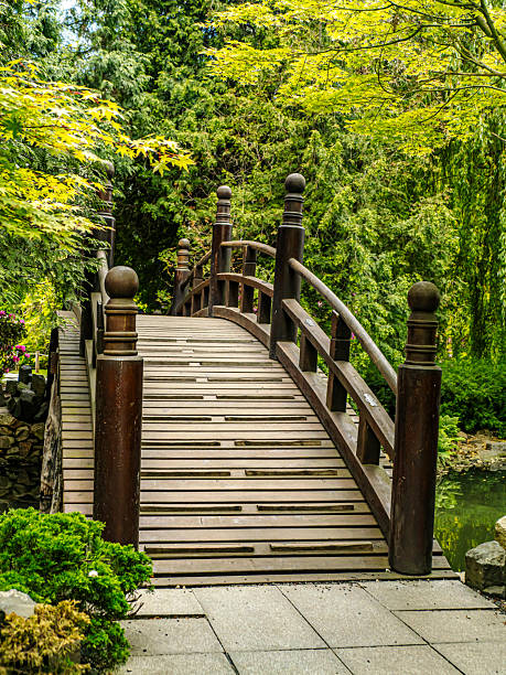 istock Rustic Wooden Bridge in a Serene Green Garden Landscape 2219064115