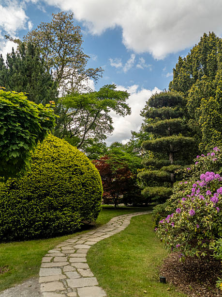 istock Serene Garden Pathway Surrounded by Lush Greenery and Vibrant Flowers 2219064188