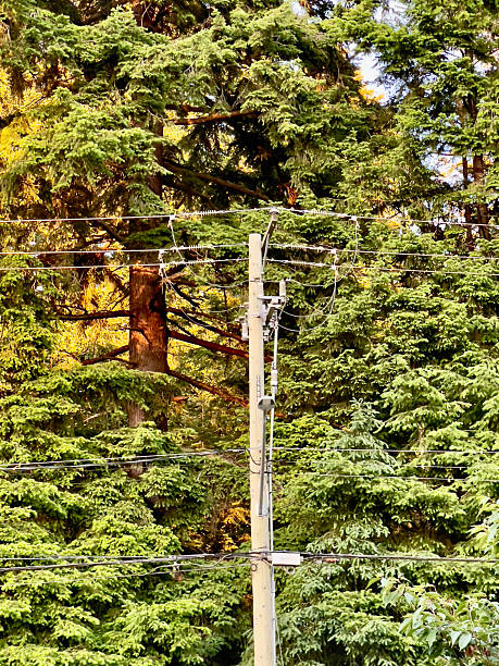istock Hydro Electrical Wires in Nature Background 2219064255