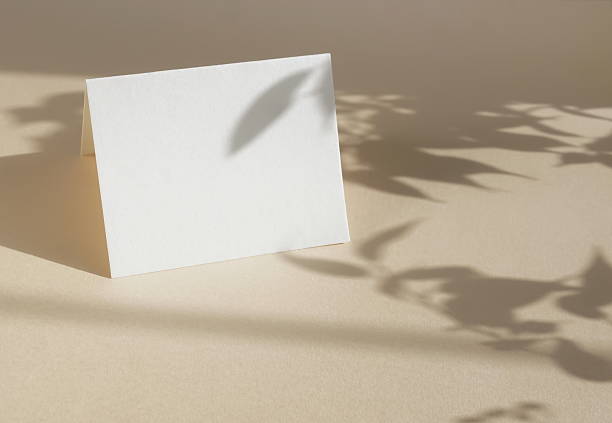istock Folded paper blank sheet card mockup with copy space and leaves shadow on beige background . 2219064313