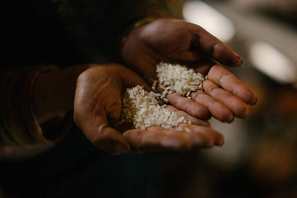istock hand holding a handful of rice 2219066661