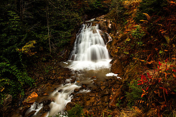 istock Waterfall Flowing Through Rocks – Rize Province 2219066929