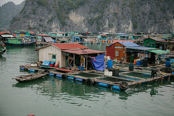 istock floating village, Ha Long Bay, Vietnam 2219067442