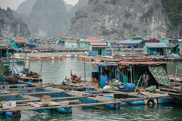 istock floating village, Ha Long Bay, Vietnam 2219067462