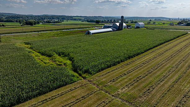 istock Large Farm Landscape With Green Fields and Farm Structures in a Rural Setting 2219067463