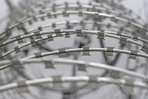 istock Coils and loops of barbed steel wire 2219071670