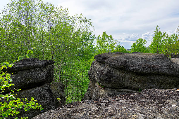 istock Ancient rock formation in a green forest, geological site. 2219089362