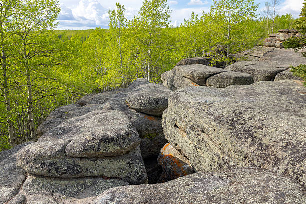 istock Ancient rock formation in a green forest, geological site. 2219089565