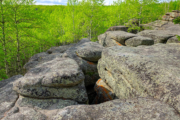 istock Ancient rock formation in a green forest, geological site. 2219089566