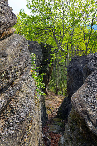 istock Ancient rock formation in a green forest, geological site. 2219089615