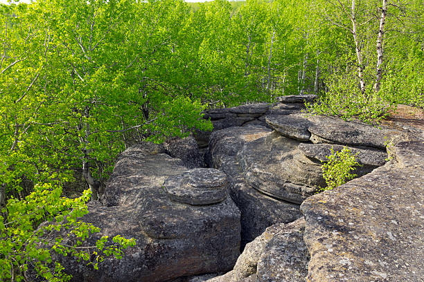 istock Ancient rock formation in a green forest, geological site. 2219089676