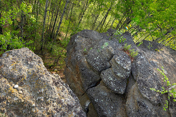 istock Ancient rock formation in a green forest, geological site. 2219092354