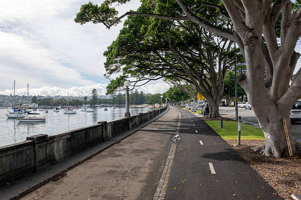 istock Rose Bay Beach coastline in Sydney, Australia 2219094644