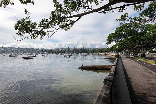 istock Rose Bay Beach coastline in Sydney, Australia 2219094706