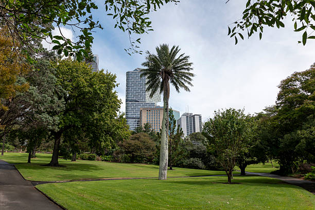 istock Central Business District in Sydney, Australia 2219094897