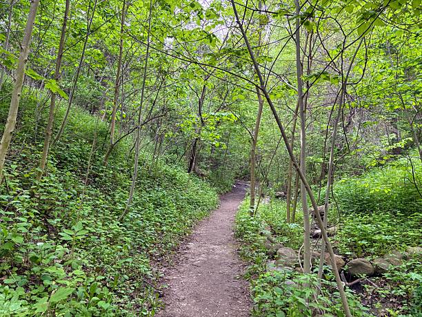 istock North Point Lighthouse Ravine Trail in Milwaukee, Wisconsin 2219095384