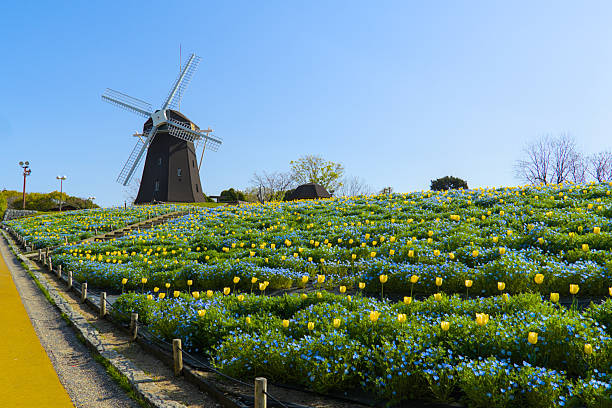 Osaka, Japan - December 12 2019 : Windmill surrounded by flowers in Tsurumi Ryokuchi Park, Long Shot, Low Angle View