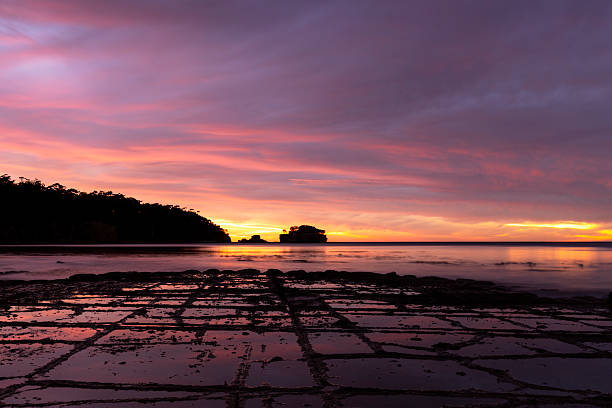 Sunrise over the Tessellated Pavement,  Eaglehawk Neck, Tasmania, Australia