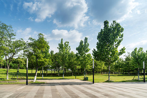 istock empty, modern square and skyscrapers in modern city 2219104479