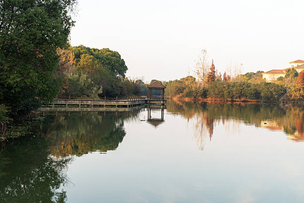 istock Lush greener around the pond in the park 2219106067